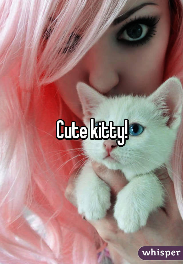 Cute kitty!