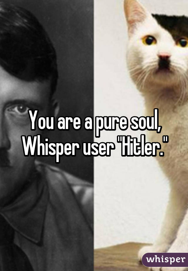 You are a pure soul, Whisper user "Hitler."