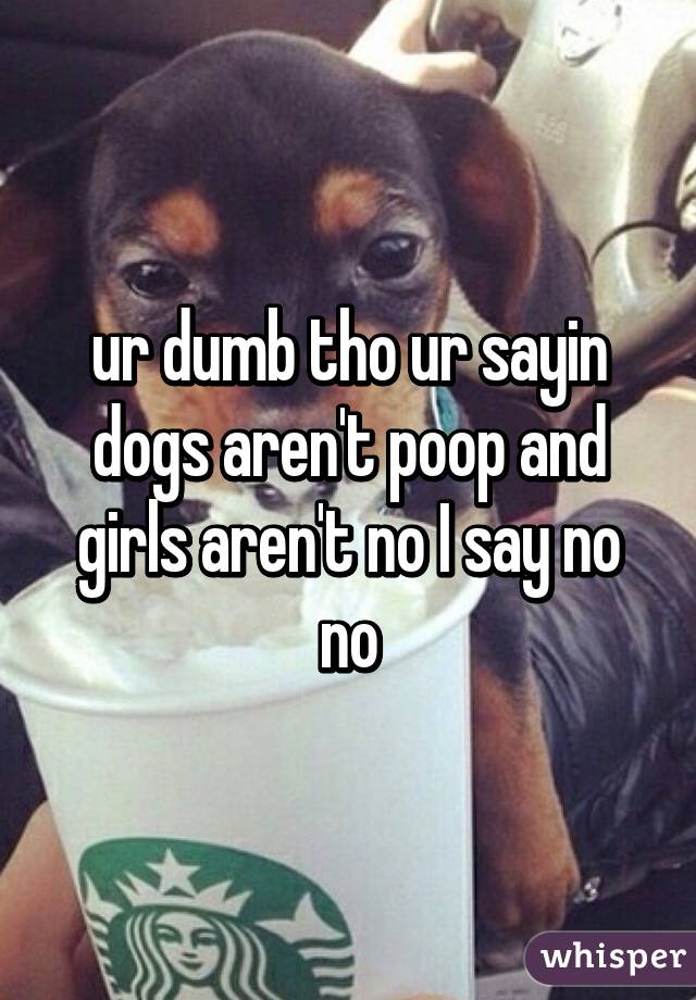 ur dumb tho ur sayin dogs aren't poop and girls aren't no I say no no