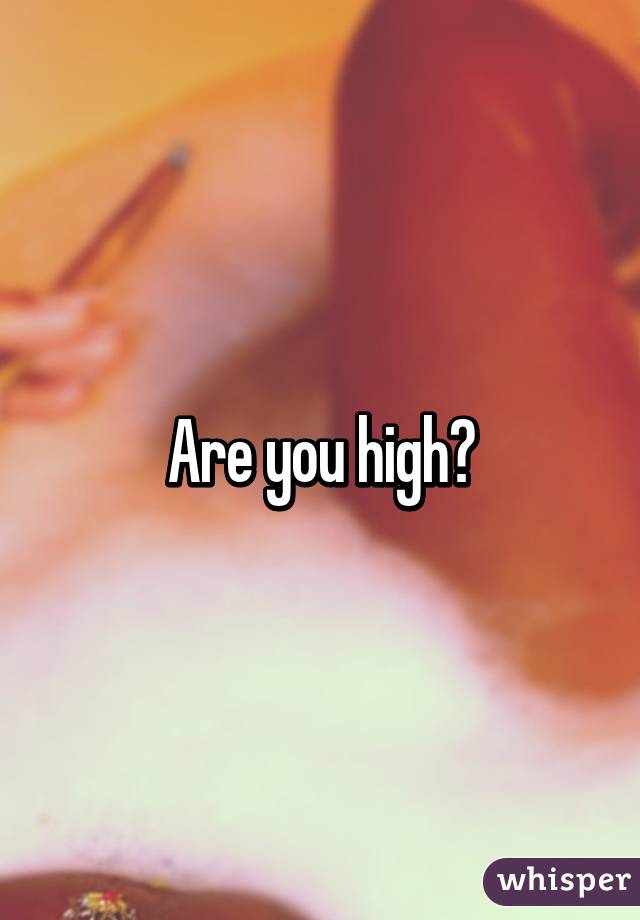 Are you high?