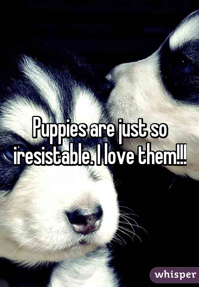 Puppies are just so iresistable. I love them!!!