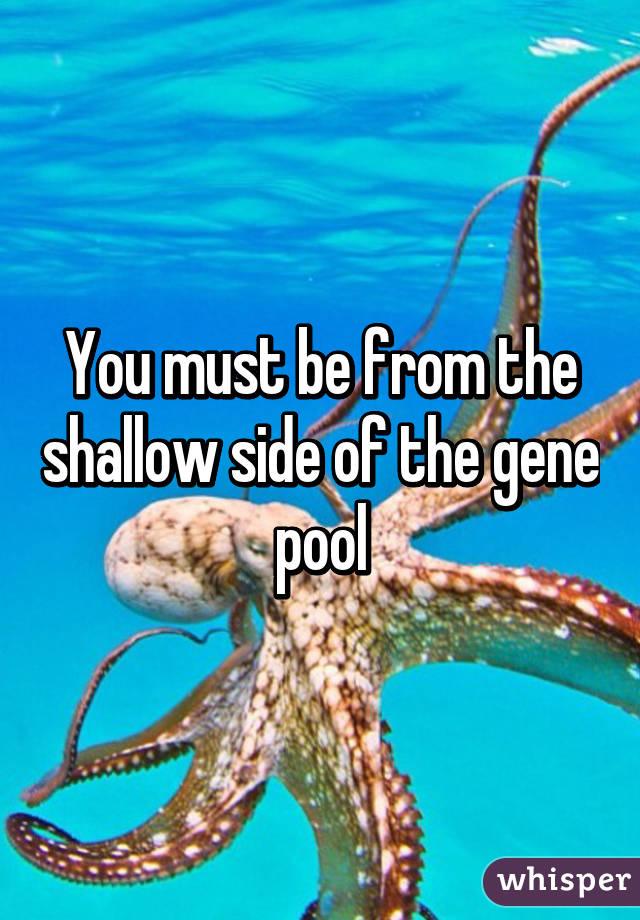 You must be from the shallow side of the gene pool