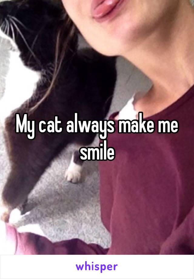 My cat always make me smile