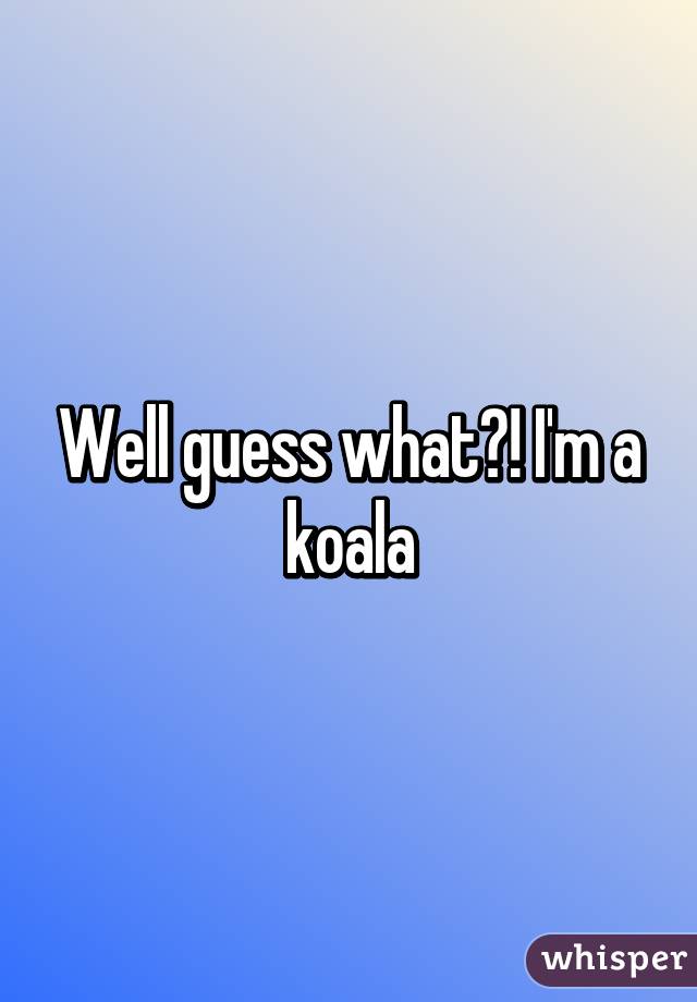 Well guess what?! I'm a koala