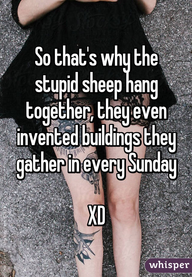 So that's why the stupid sheep hang together, they even invented buildings they gather in every Sunday

XD