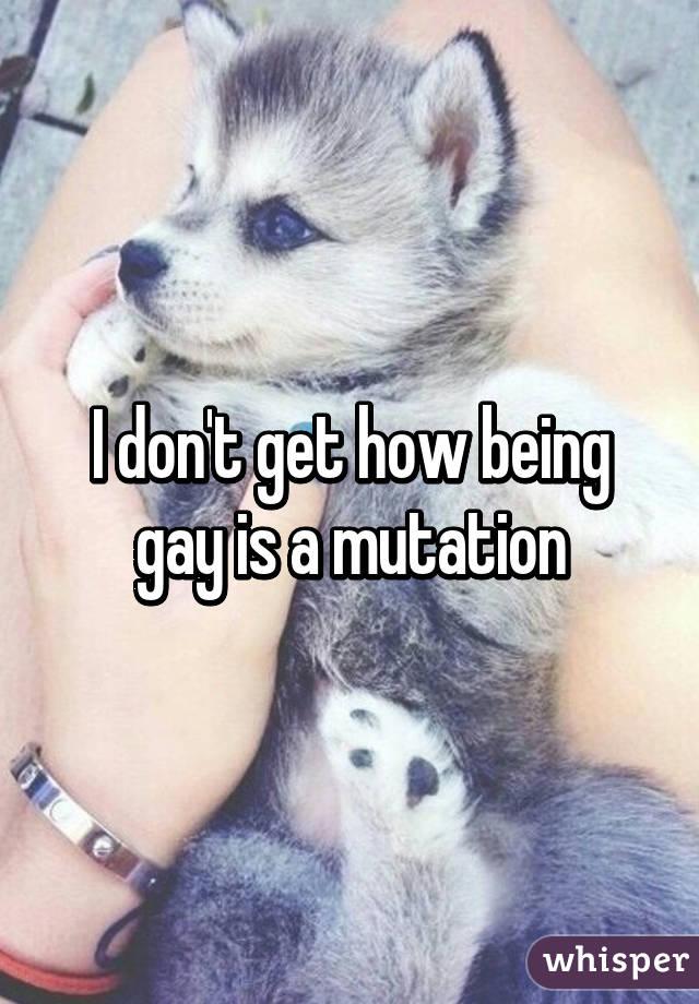 I don't get how being gay is a mutation