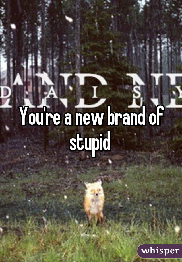 You're a new brand of stupid 