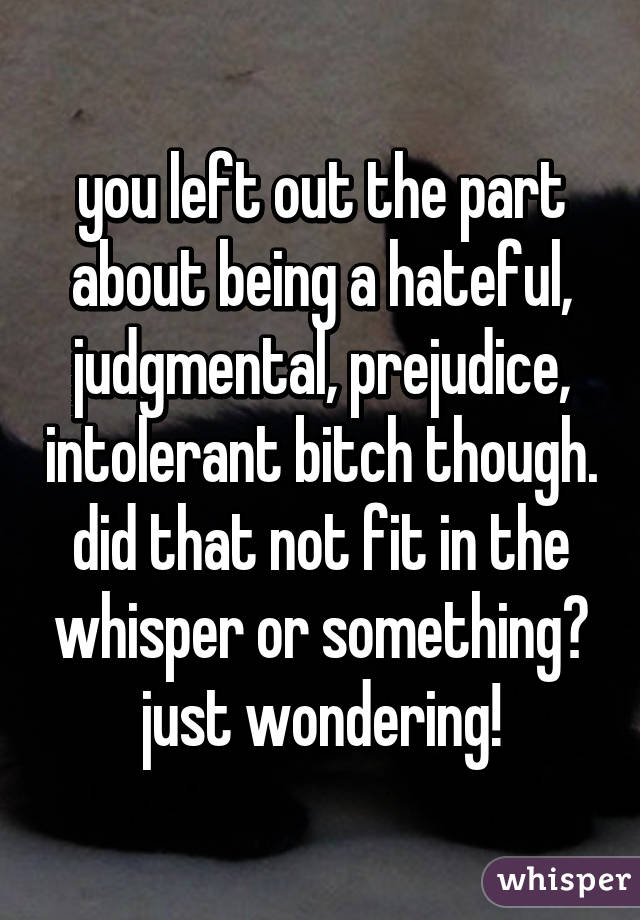 you left out the part about being a hateful, judgmental, prejudice, intolerant bitch though. did that not fit in the whisper or something? just wondering!