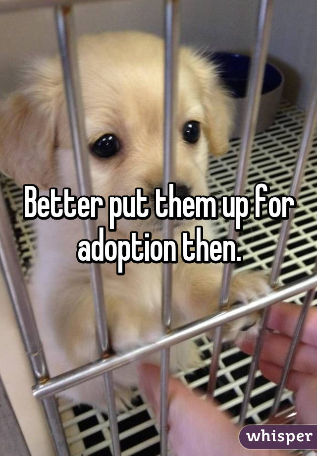 Better put them up for adoption then.