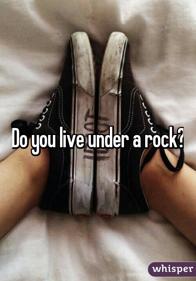 Do you live under a rock?