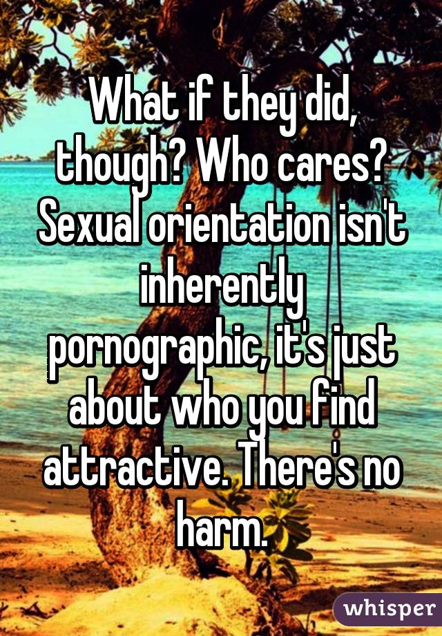 What if they did, though? Who cares? Sexual orientation isn't inherently pornographic, it's just about who you find attractive. There's no harm.