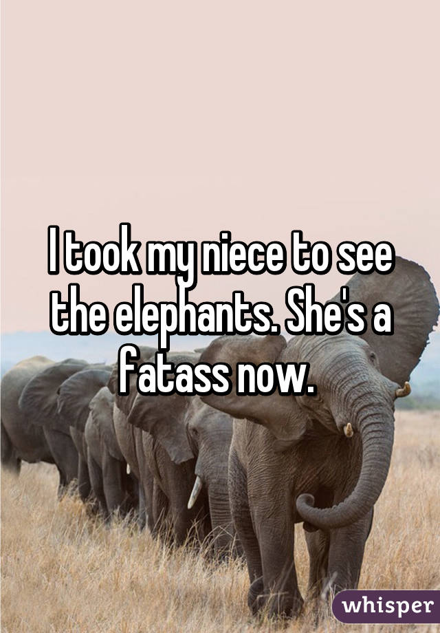 I took my niece to see the elephants. She's a fatass now. 