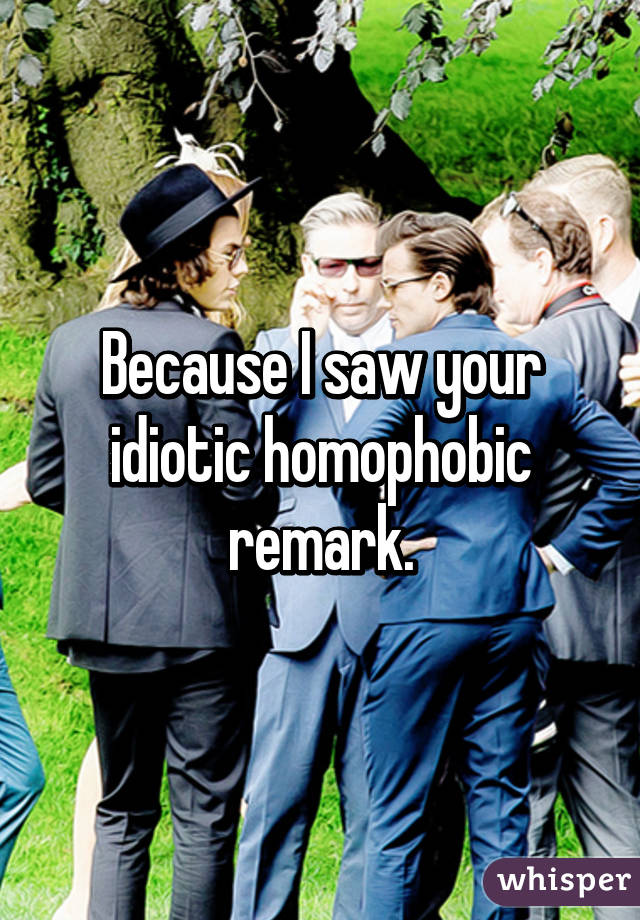 Because I saw your idiotic homophobic remark.