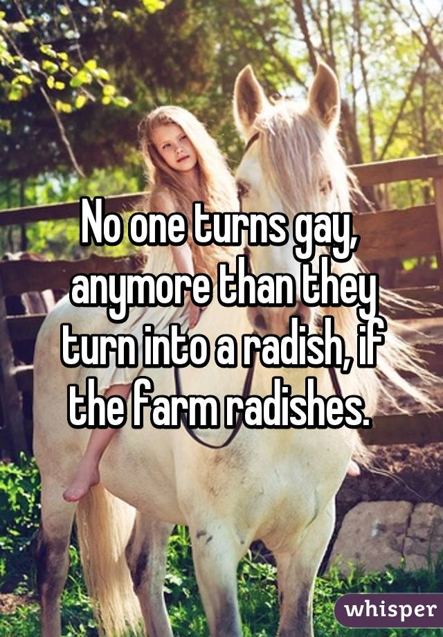 No one turns gay,  anymore than they turn into a radish, if the farm radishes. 