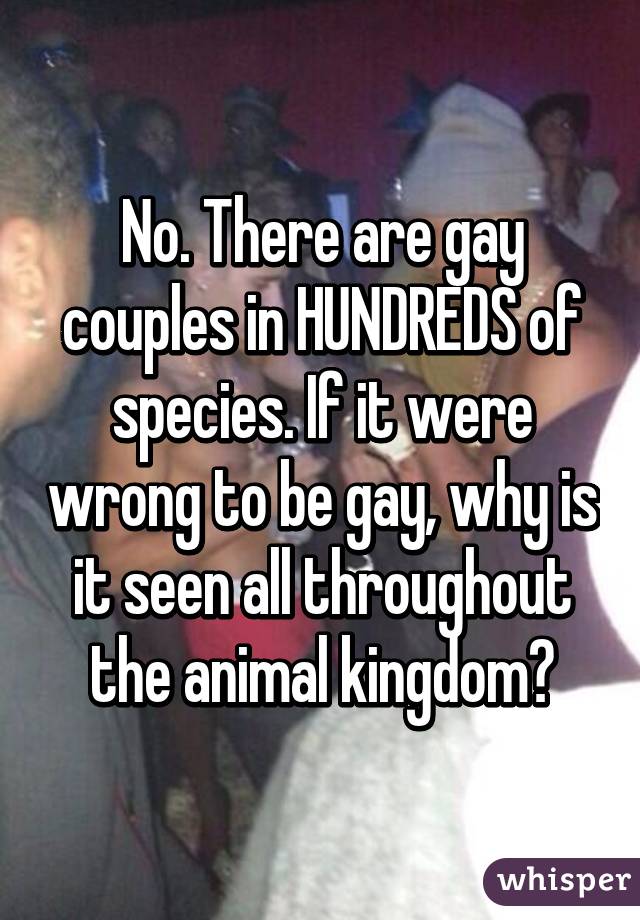 No. There are gay couples in HUNDREDS of species. If it were wrong to be gay, why is it seen all throughout the animal kingdom?