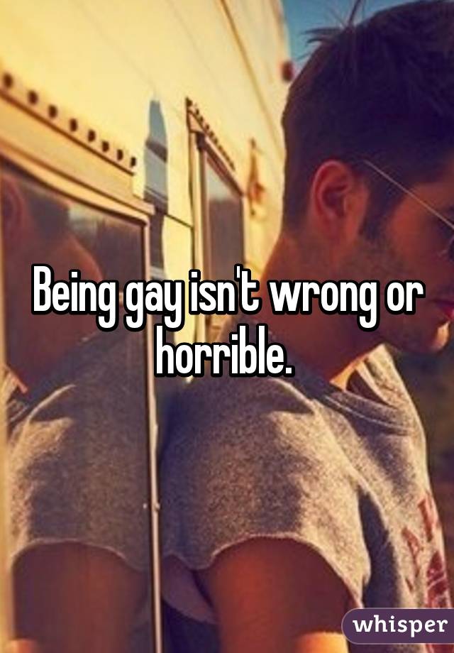 Being gay isn't wrong or horrible. 