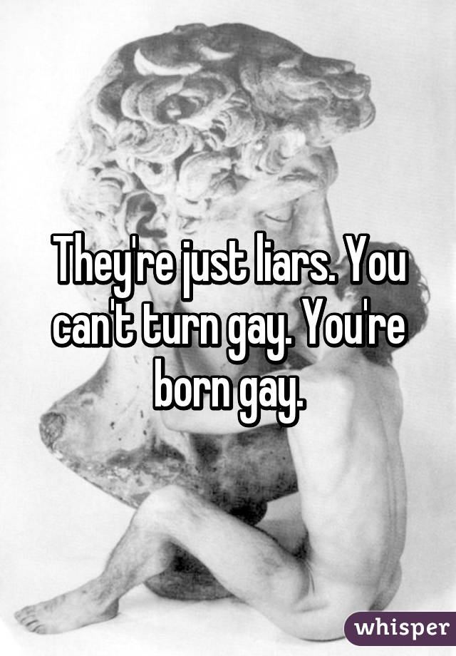 They're just liars. You can't turn gay. You're born gay.