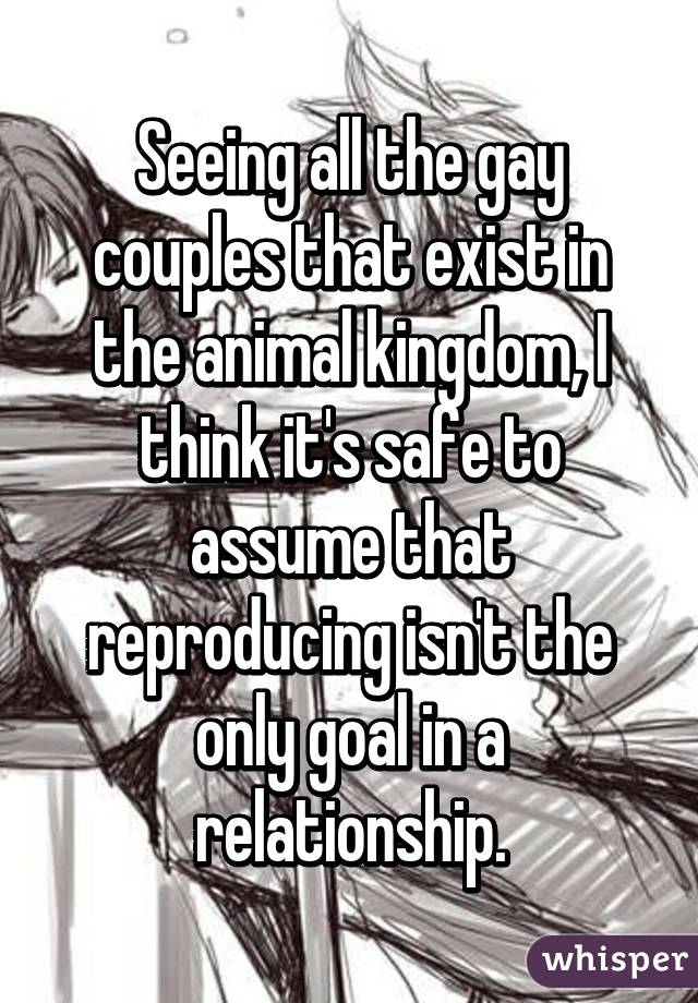 Seeing all the gay couples that exist in the animal kingdom, I think it's safe to assume that reproducing isn't the only goal in a relationship.