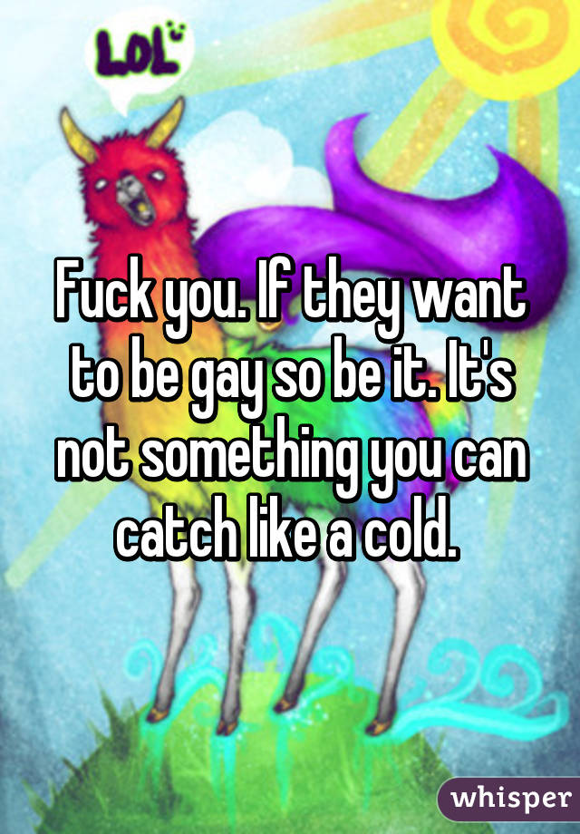 Fuck you. If they want to be gay so be it. It's not something you can catch like a cold. 