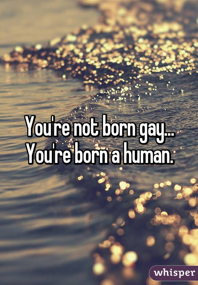 You're not born gay... You're born a human.