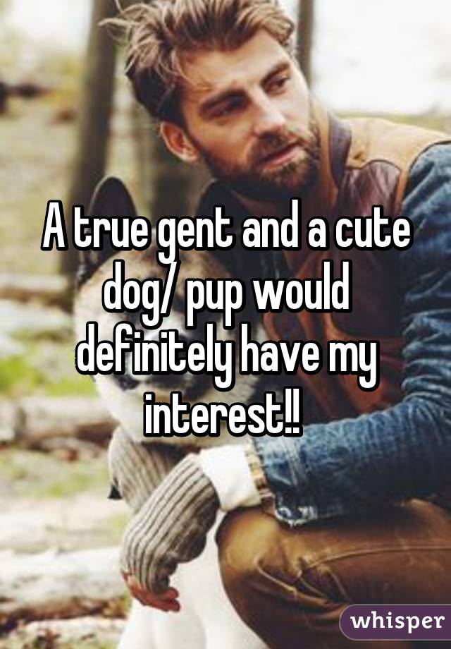 A true gent and a cute dog/ pup would definitely have my interest!! 