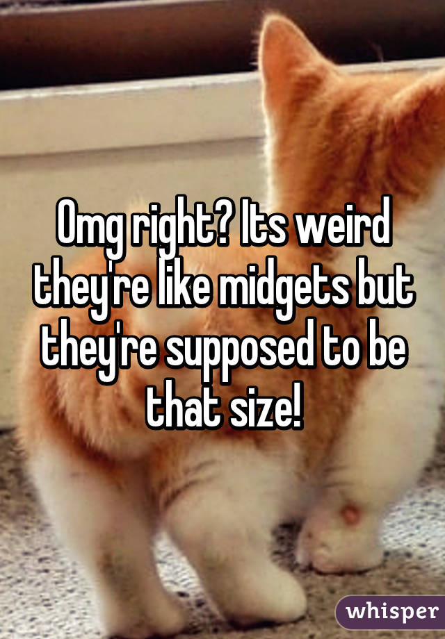 Omg right? Its weird they're like midgets but they're supposed to be that size!