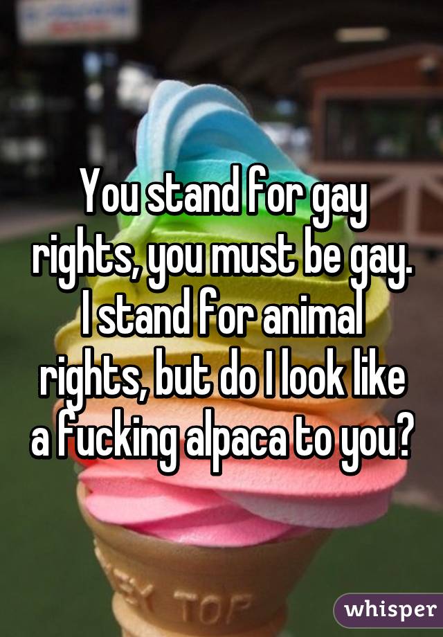 You stand for gay rights, you must be gay. I stand for animal rights, but do I look like a fucking alpaca to you?
