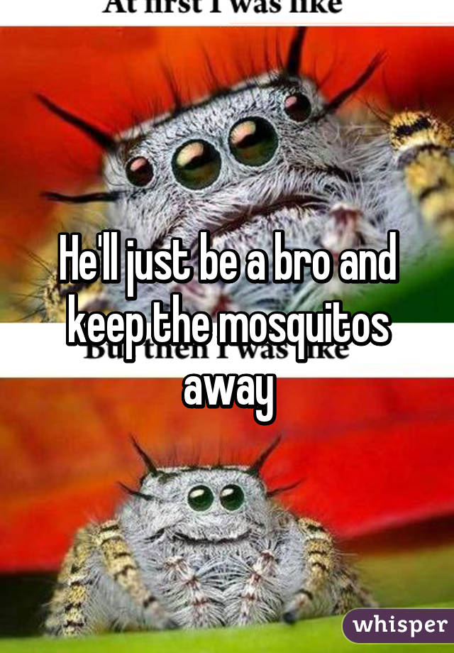 He'll just be a bro and keep the mosquitos away