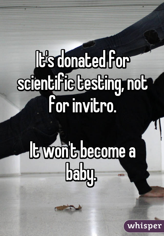 It's donated for scientific testing, not for invitro.

It won't become a baby. 