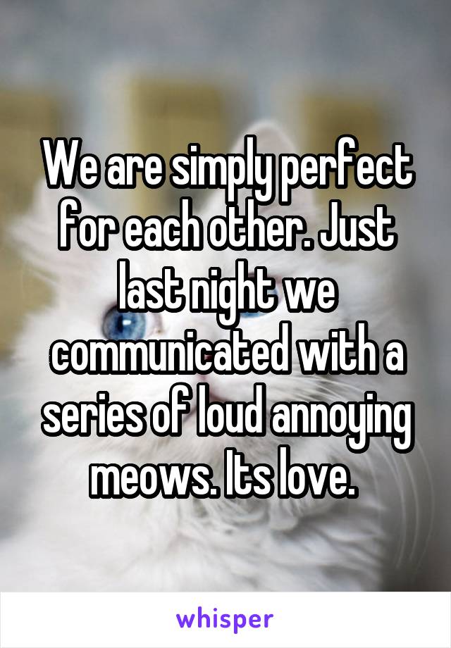 We are simply perfect for each other. Just last night we communicated with a series of loud annoying meows. Its love. 
