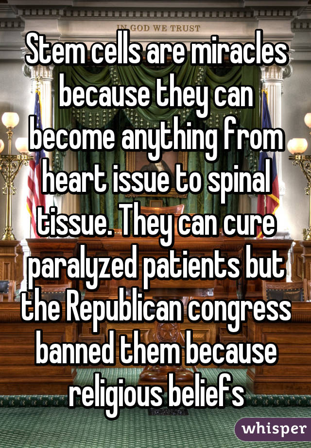 Stem cells are miracles because they can become anything from heart issue to spinal tissue. They can cure paralyzed patients but the Republican congress banned them because religious beliefs