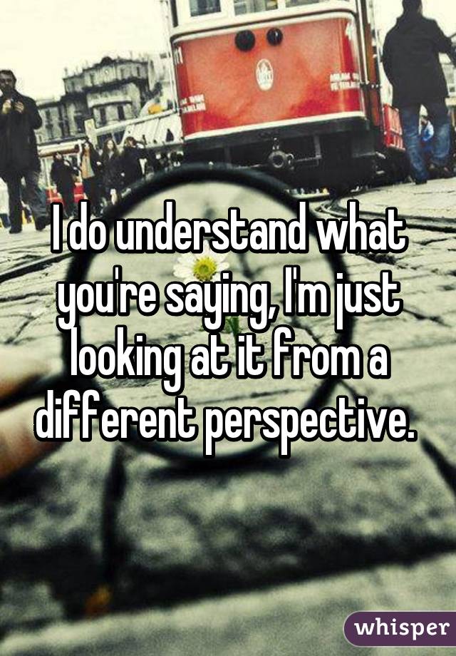 I do understand what you're saying, I'm just looking at it from a different perspective. 