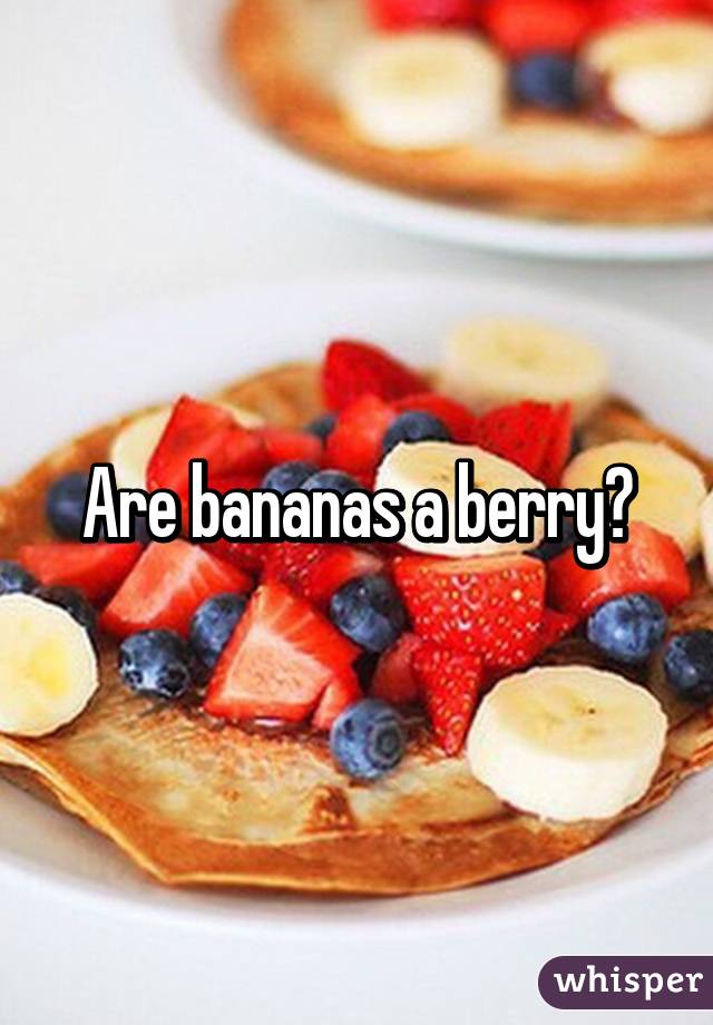 Are bananas a berry?