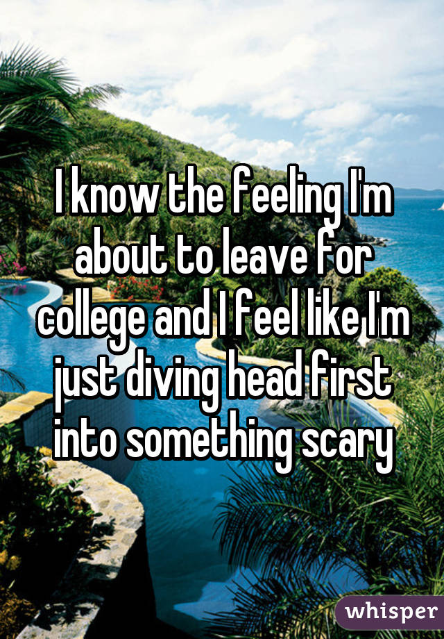 I know the feeling I'm about to leave for college and I feel like I'm just diving head first into something scary