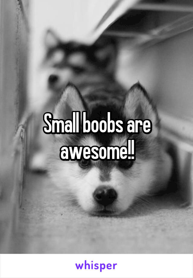 Small boobs are awesome!!