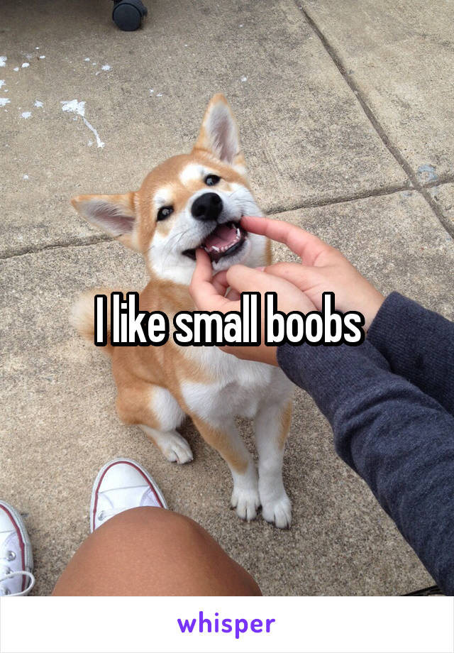 I like small boobs