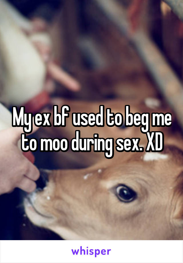 My ex bf used to beg me to moo during sex. XD