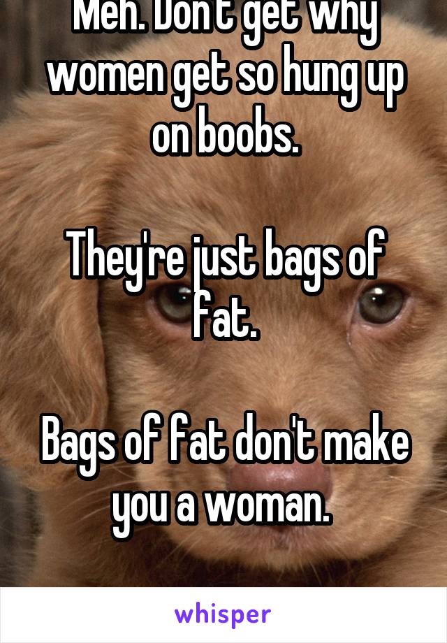 Meh. Don't get why women get so hung up on boobs.

They're just bags of fat.

Bags of fat don't make you a woman. 

