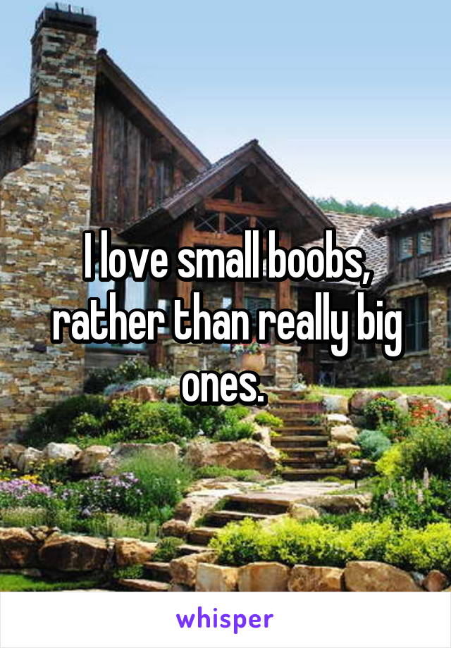 I love small boobs, rather than really big ones. 