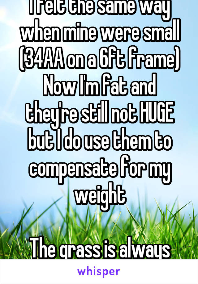 I felt the same way when mine were small (34AA on a 6ft frame)
Now I'm fat and they're still not HUGE but I do use them to compensate for my weight

The grass is always greener!