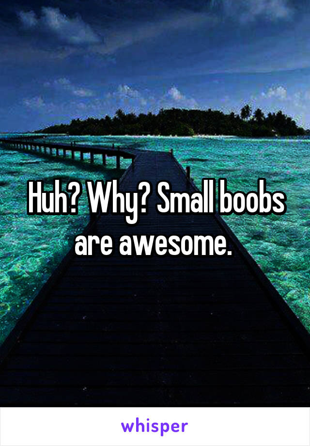 Huh? Why? Small boobs are awesome. 