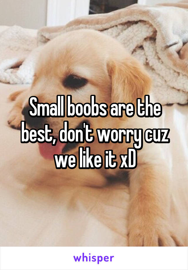 Small boobs are the best, don't worry cuz we like it xD