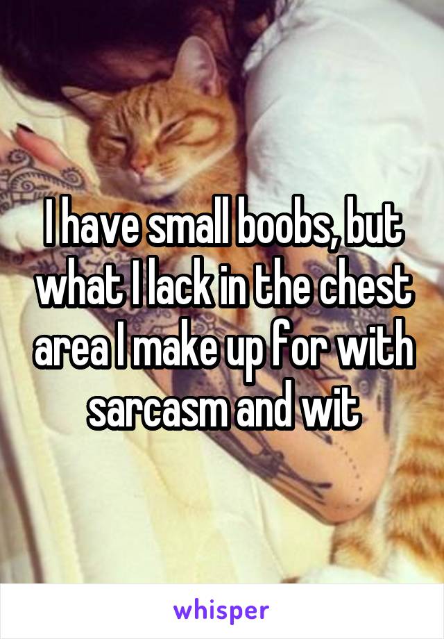 I have small boobs, but what I lack in the chest area I make up for with sarcasm and wit