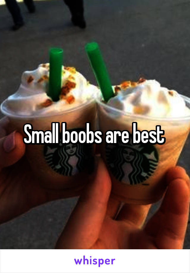 Small boobs are best 
