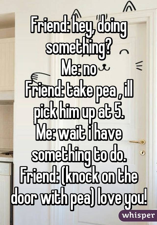 Friend: hey, doing something?
Me: no
Friend: take pea , ill pick him up at 5.
Me: wait i have something to do.
Friend: (knock on the door with pea) love you!