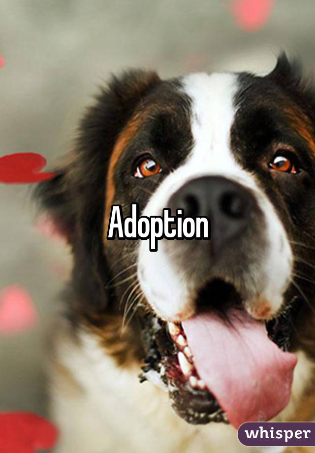 Adoption