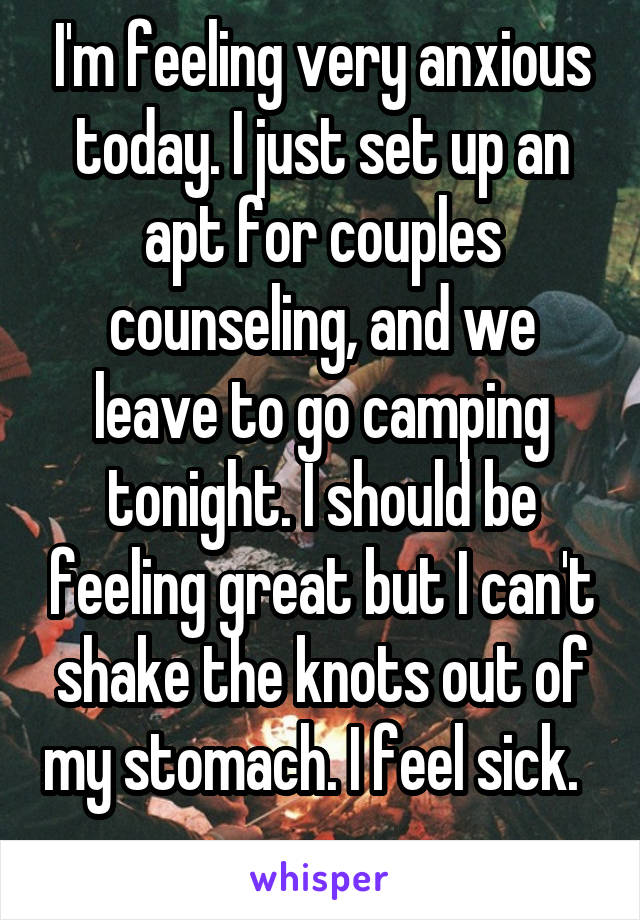 I'm feeling very anxious today. I just set up an apt for couples counseling, and we leave to go camping tonight. I should be feeling great but I can't shake the knots out of my stomach. I feel sick.   
