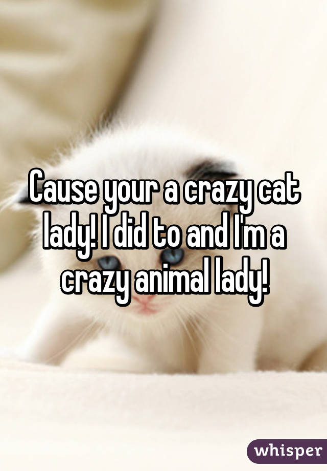 Cause your a crazy cat lady! I did to and I'm a crazy animal lady!