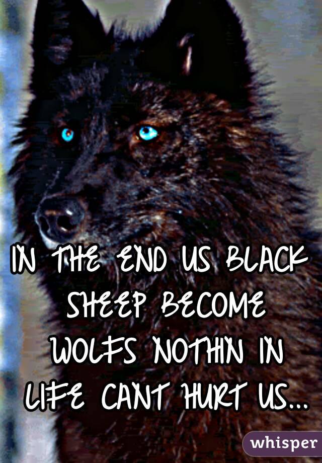 IN THE END US BLACK SHEEP BECOME WOLFS NOTHIN IN LIFE CANT HURT US...