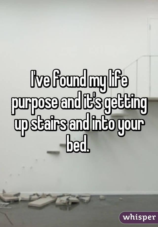 I've found my life purpose and it's getting up stairs and into your bed. 